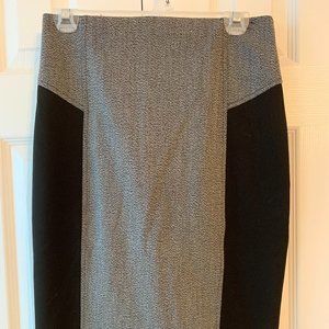 Express Pencil Skirt
